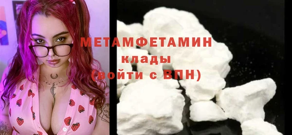 шишки Пересвет