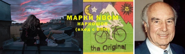 шишки Пересвет