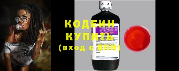 шишки Пересвет
