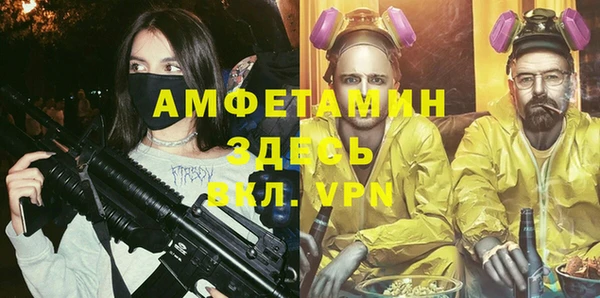 шишки Пересвет