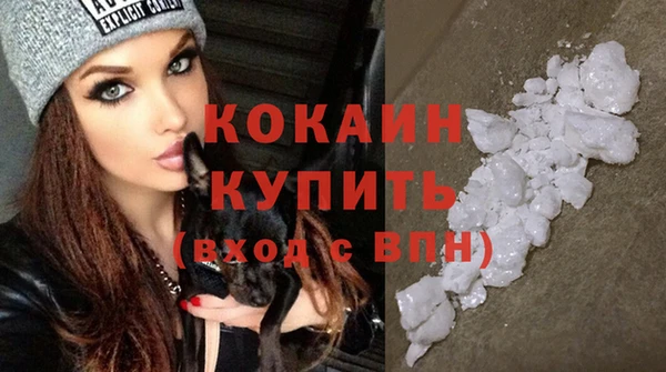 шишки Пересвет