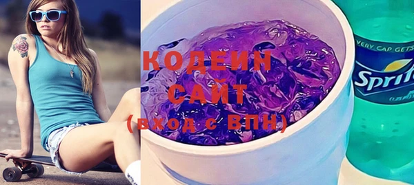 шишки Пересвет