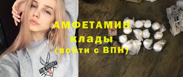 шишки Пересвет