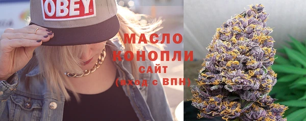 шишки Пересвет