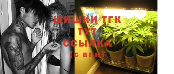 mdpv Пестово