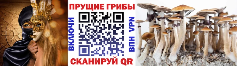 Галлюциногенные грибы Magic Shrooms  Разумное 